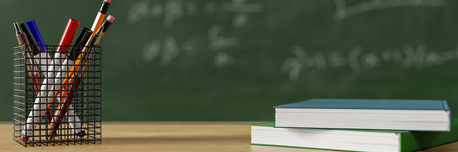 취업 지원 프로그램 운영